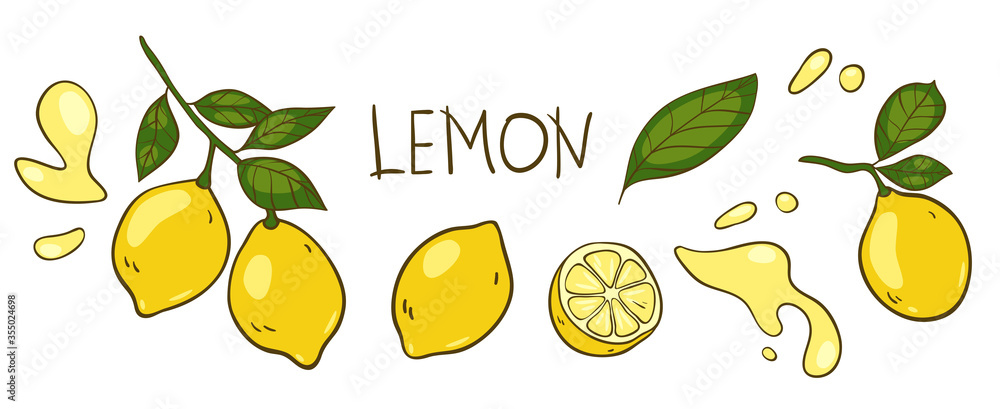 Obraz premium Lemon vector elements and lettering set. The inscription 
