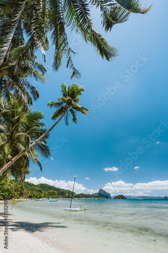 Fototapeta Naklejka Na Ścianę i Meble -  Palm trees of Corong Corong beach with traditional boats and blue sky in El Nido, Palawan island, Philippines. Vertical view.