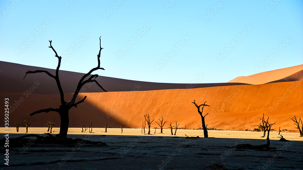 Namib Sand Sea and Sossusvlei with dead trees Namib Sand Sea and Sossusvlei with dead trees