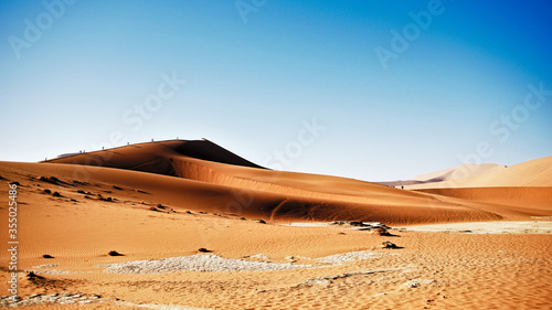 Namib Sand Sea and Sossusvlei with dead trees