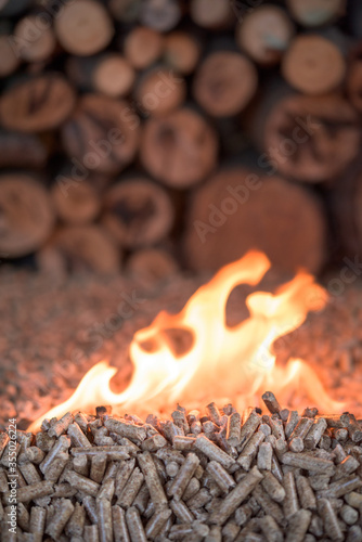 Beech pellets in fire