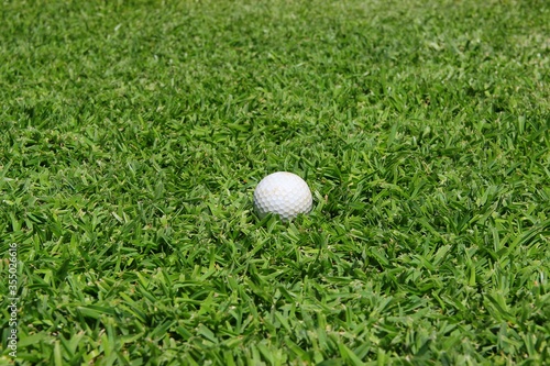 Golf ball on green grass of golf course.