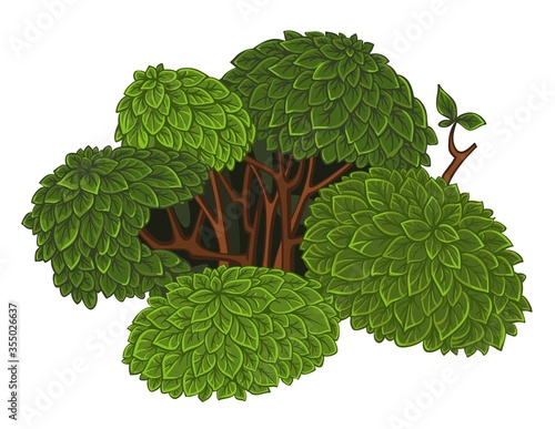 Green detailed bush isolated on a white background