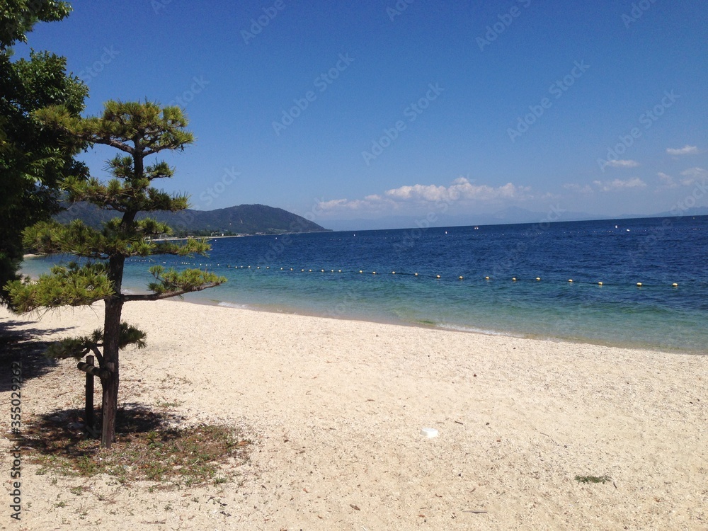 tropical beach with palm trees in Japan 