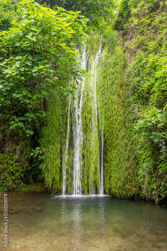 Cascade dans la nature de face