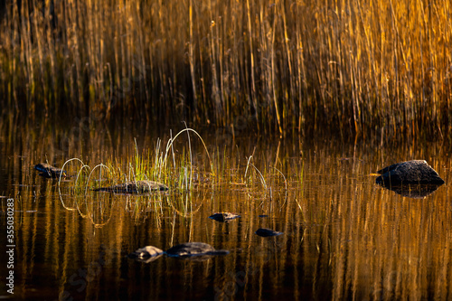 Straws bending and make ova...