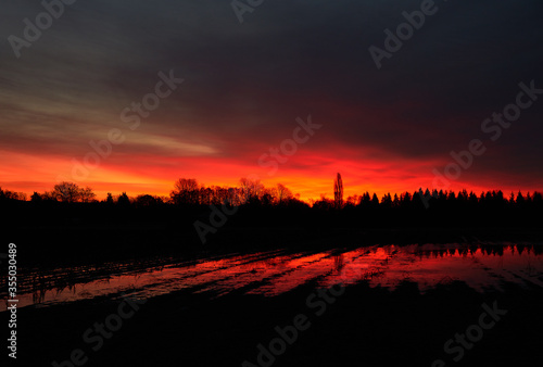 Farmland Twilight Dawn. Sunrise over a flooded farm field.  