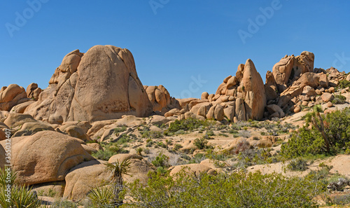 Arid Panorama in the Desert Spring