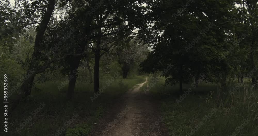 Young female walking alone in a dark park. Young female walking alone in a dark park.