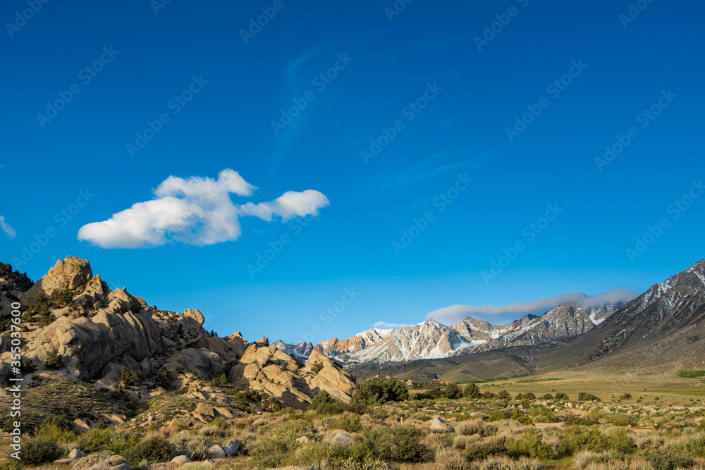 white cloud hangs in blue sky above rocky desert plain mountain meadow with native plants blooming with tiny white wildflowers to distant snowy peaks
