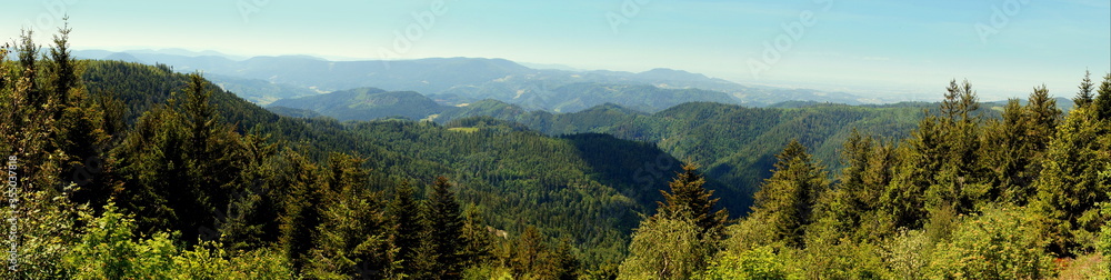 weites Panorama vom Aussichtspunkt am Schliffkopf im Schwarzwald über bewaldete Berge an sonnigem Tag