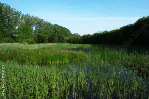 Wetland, natural space with great diversity of species.