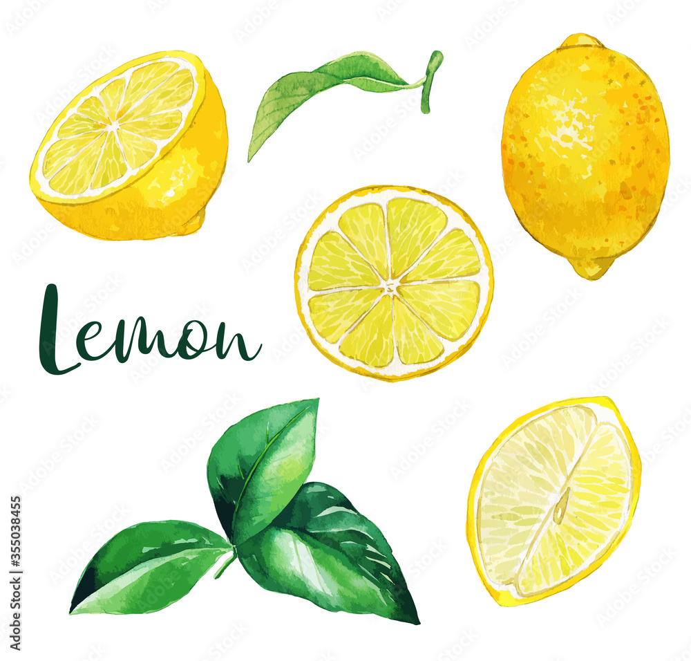 Yellow lemon fruits and leaves, watercolor fruit Yellow lemon fruits and leaves, watercolor fruit