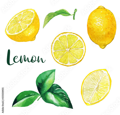 Yellow lemon fruits and leaves, watercolor fruit