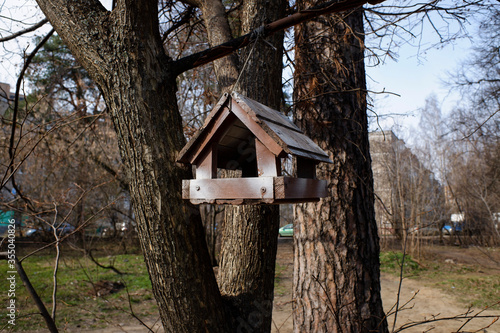 Wooden box for feeding birds hanging on a tree © Smith_371