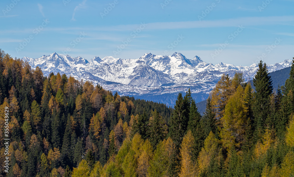 A view at Alps from autumn colored Val Gardena in Italy