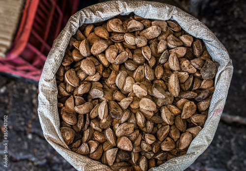Brazil Nut (Castanha do Pará), Typical Nut from Amazon Rainforest in Famous, Touristic and Traditional Food Market: Ver-O-Peso Market in Belém, Pará State, Brazil