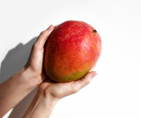 Whole Mango fruit in woman hands on white table background close-up. Top view with free text space