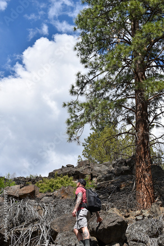 Middle aged man in shorts hiking solo along lava rocks and trees in Bend Oregon, Deschutes County, USA.  photo