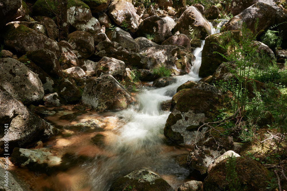 Waterfall in the woods at Mata de Albergaria, gerês Waterfall in the woods at Mata de Albergaria, gerês