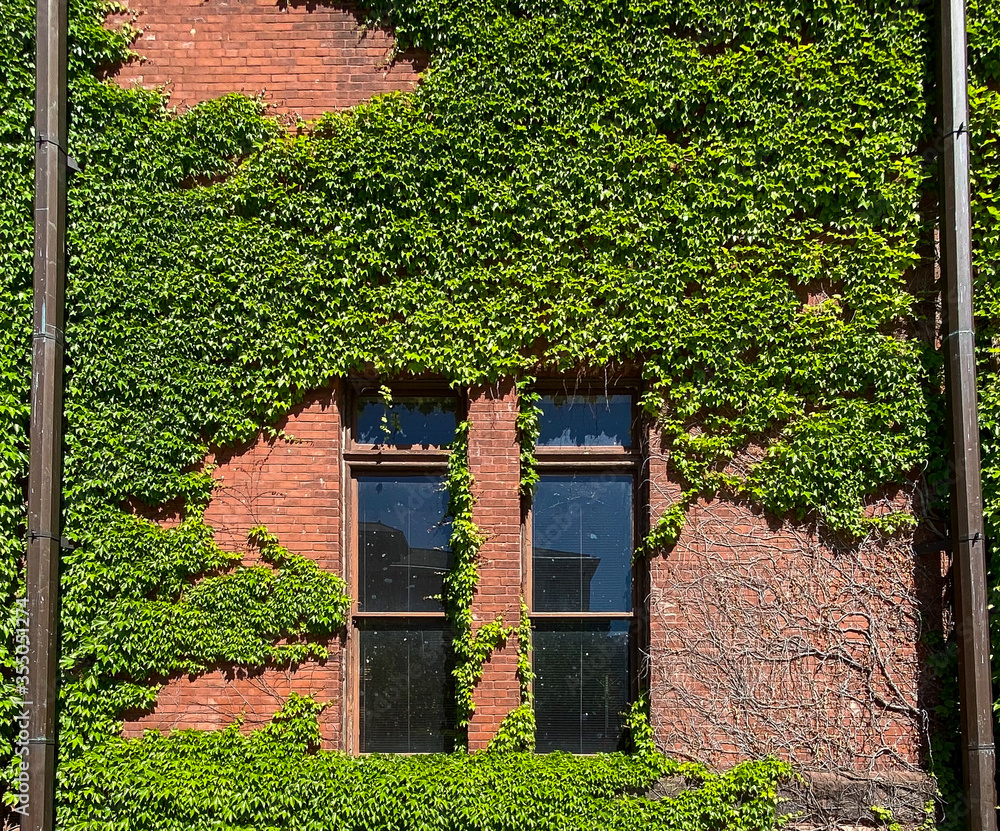 big red brick gym with green ivy 