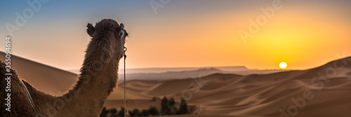 Merzouga in the Sahara Desert in Morocco. Web banner in panoramic view.