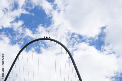 3 pigeons sitting on a arched wired metal construction with sky background