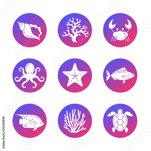 Marine Life Icons Set. White Background