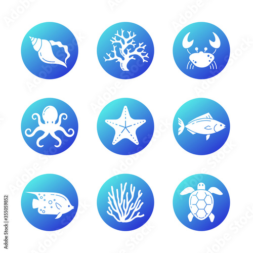 Marine Life Icons Set. White Background