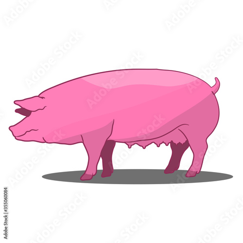 Pink Sow pig standing Left side