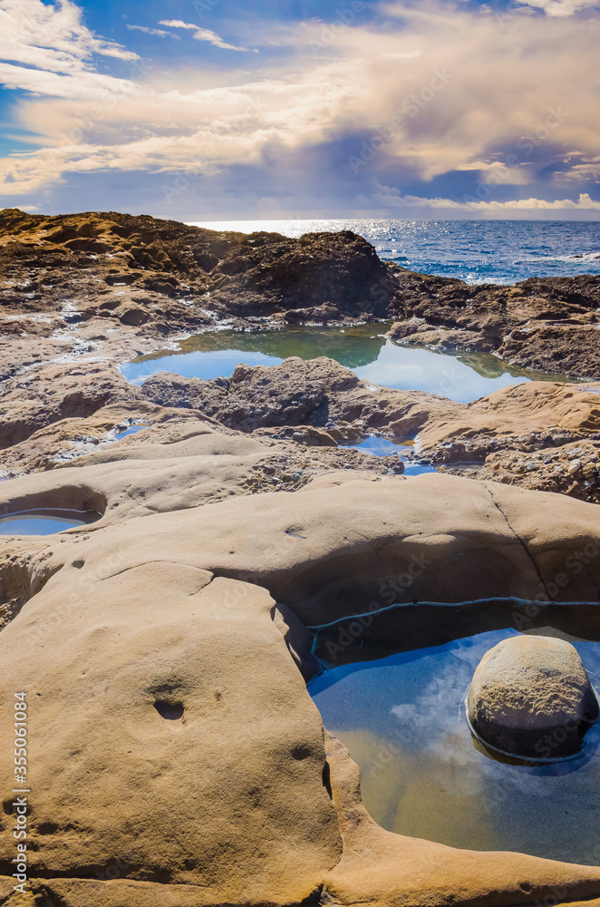 Tidepool, Point Lobos State Natural Reserve, California, USA