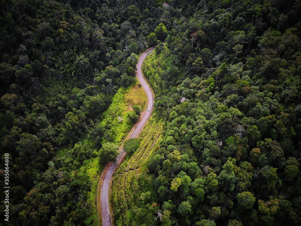 Aerial view of green scenery in Bukit Tinggi, Pahang