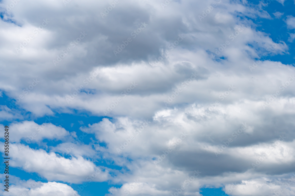 Fototapeta premium 雲