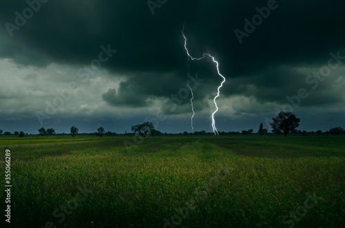 Strong lightning over harvesting rice field in monsoon season