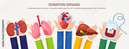 Donation organs. Doctors hands hold donor lungs, heart, liver blood bag kidneys for transplantation. Cardiac respiratory hepatic digestive disease, cancer. Volunteer aid for patient Vector flat design