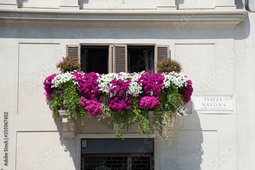 Classic 2 windows italian balcony with big lush flower bouquets under sunlight