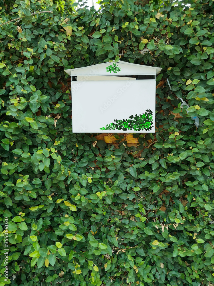 White postbox on the green leaf wall White postbox on the green leaf wall