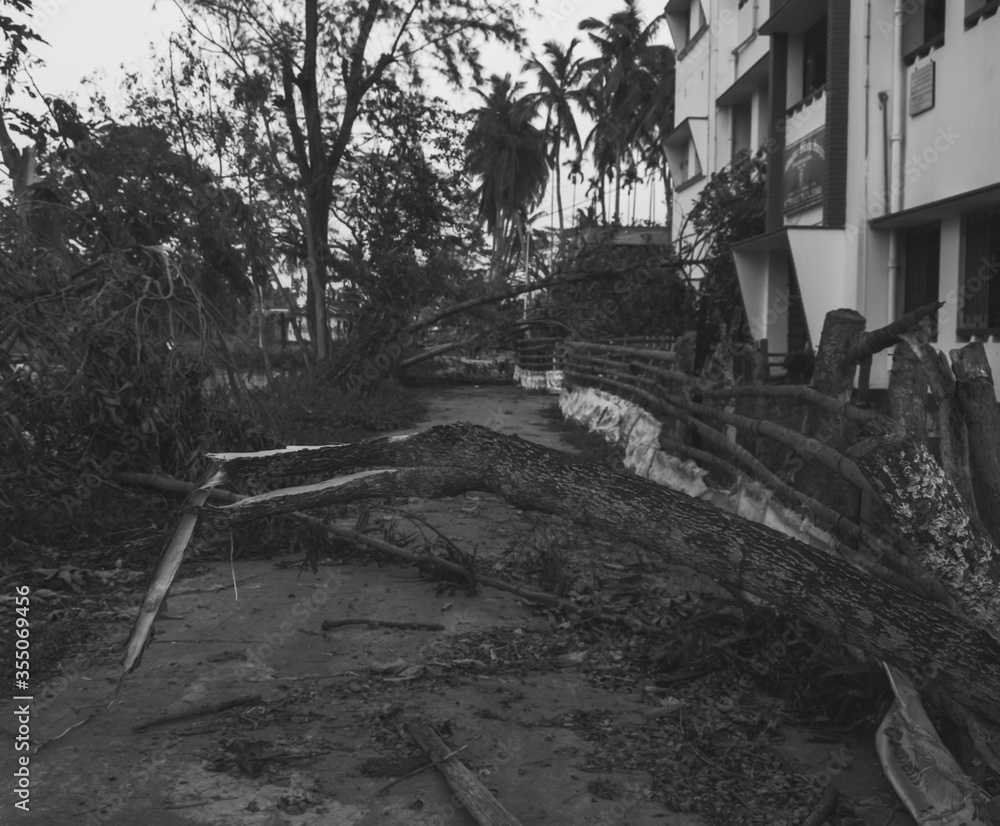 After effect of the tropical super cyclone Amphan. After effect of the tropical super cyclone Amphan.
