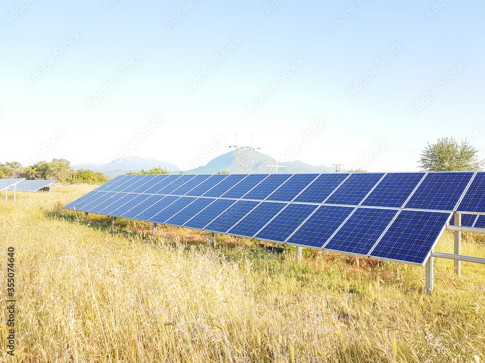sollar panels on a field with grass in the morning sollar panels on a field with grass in the morning