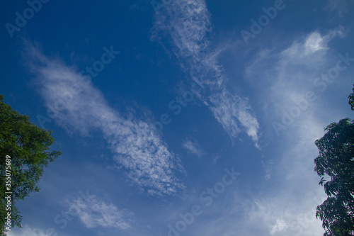 The background is a blue sky with white clouds