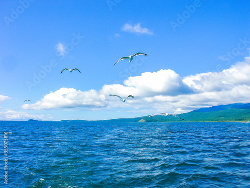 View of Lake Baikal  in summer in the light of day