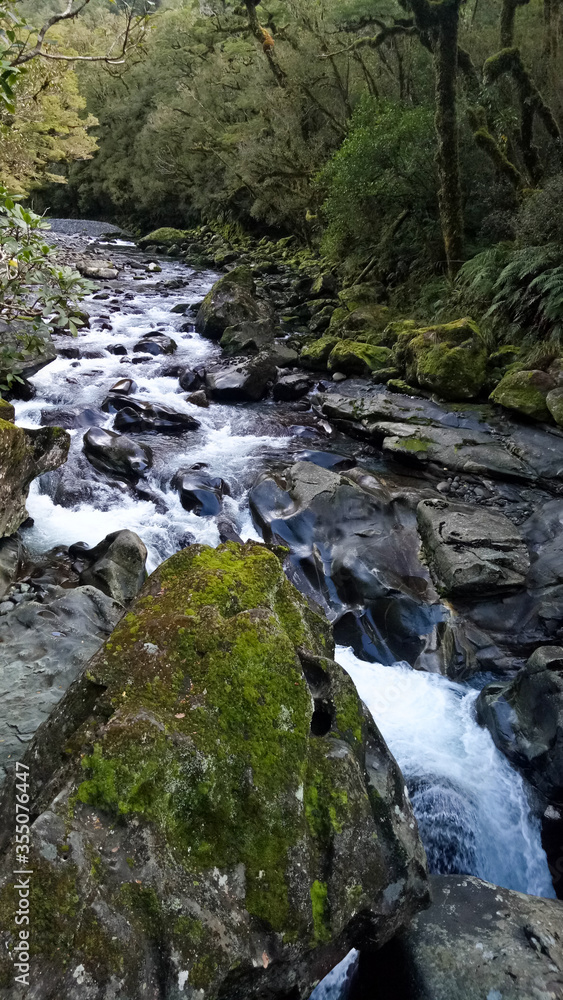 The view on the way to Milford Sound New Zealand
