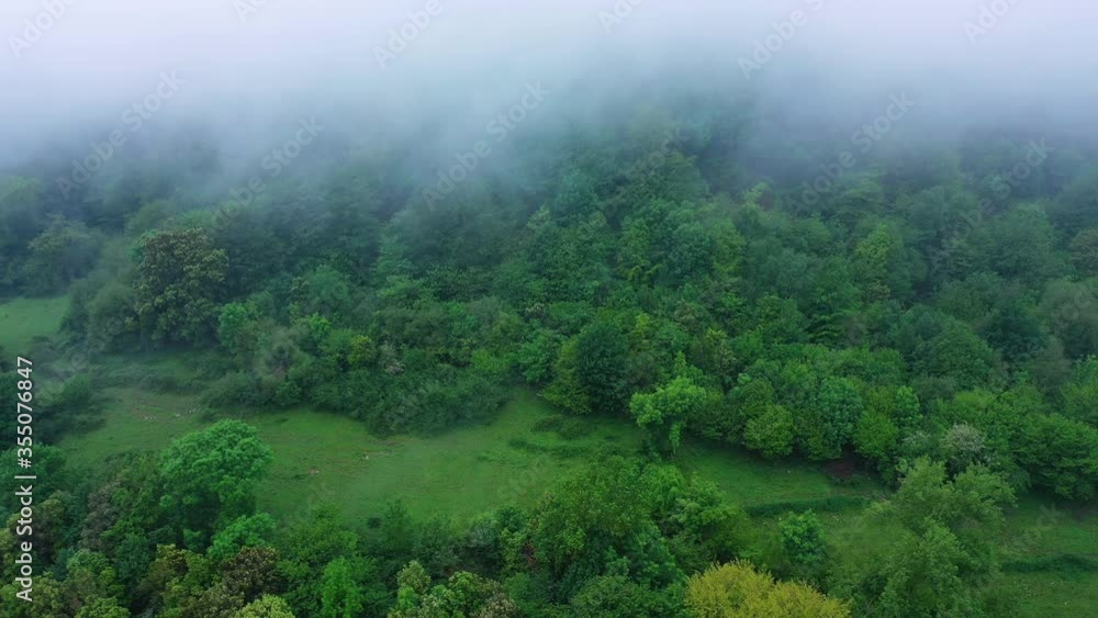Aerial view of the spring landscape of beech and Cantabrian countryside. Sierra del Hornijo. Ramales de la Victoria. Alto Asón Natural Park of the Autonomous Community of Cantabria, Spain, Europe Aerial view of the spring landscape of beech and Cantabrian countryside. Sierra del Hornijo. Ramales de la Victoria. Alto Asón Natural Park of the Autonomous Community of Cantabria, Spain, Europe
