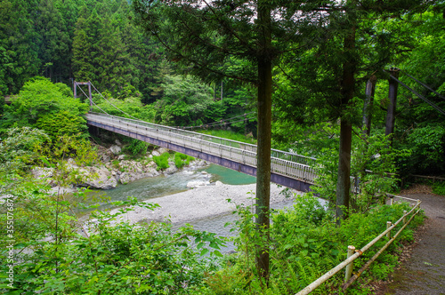 多摩川に掛かる吊橋