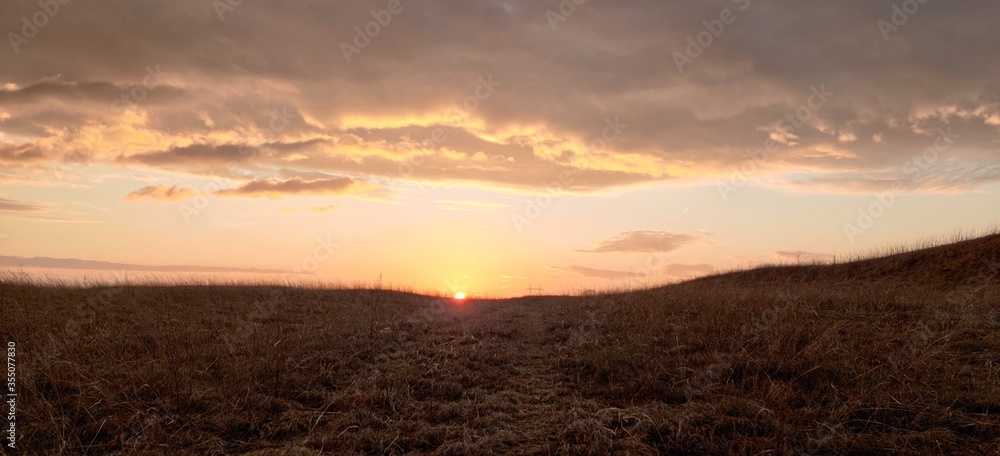 Obraz premium sunset over the field