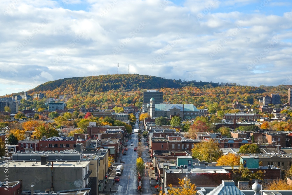 Fototapeta premium High view on Mount Royal and nearby district Plateau above Rachel street and roofs, which goes away into perspective to the mount.