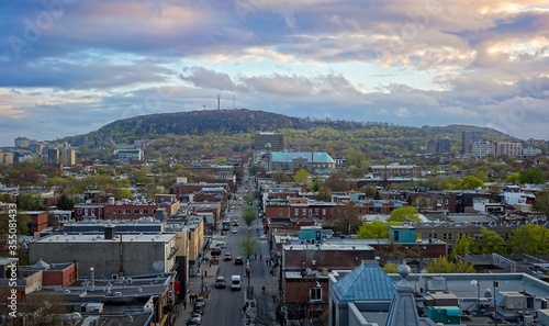 Fototapeta Naklejka Na Ścianę i Meble -  High view on Mount Royal and nearby district Plateau above Rachel street and roofs, which goes away into perspective to the mount.