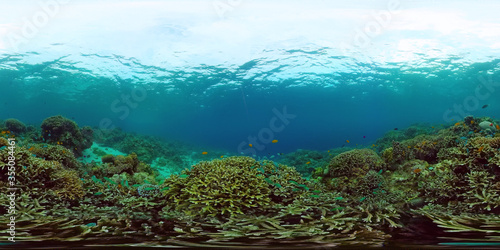 Coral reef and tropical fishes. The underwater world of the Philippines.