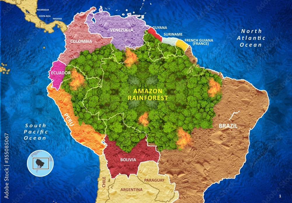 Illustrazione Stock Amazon Rainforest Map with Countries | Adobe Stock