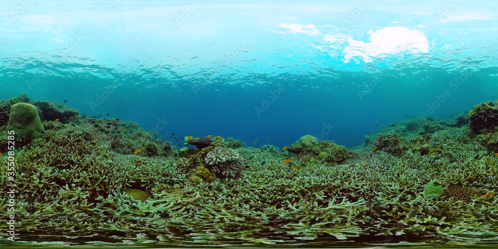 360VR: Beautiful underwater world with coral reef and tropical fishes. Panglao, Philippines. Travel vacation concept